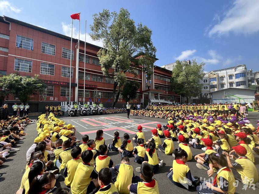 摇钱树网站开奖结果